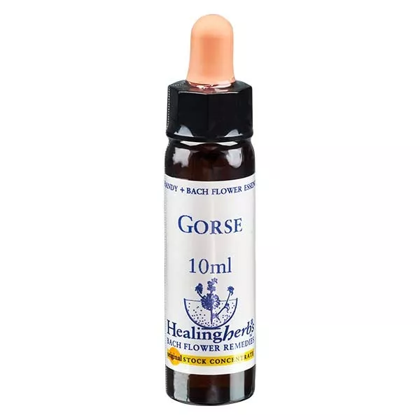 13 Gorse, 10ml, Healing Herbs