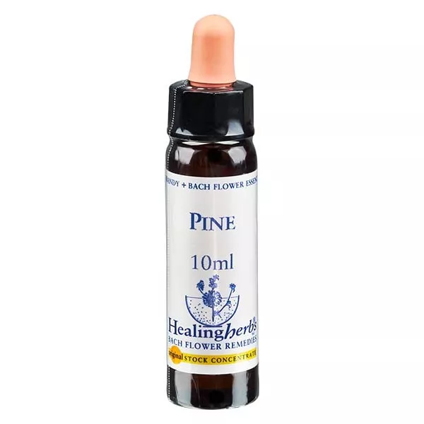 24 Pine, 10ml, Healing Herbs