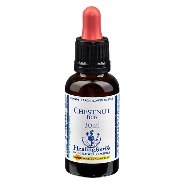 7 Chestnut Bud, 30ml, Healing Herbs