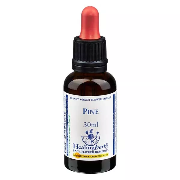 24 Pine, 30ml, Healing Herbs